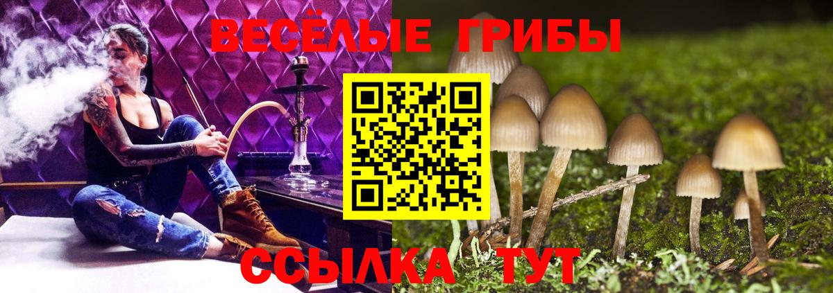 Псилоцибиновые грибы Psilocybine cubensis Алапаевск