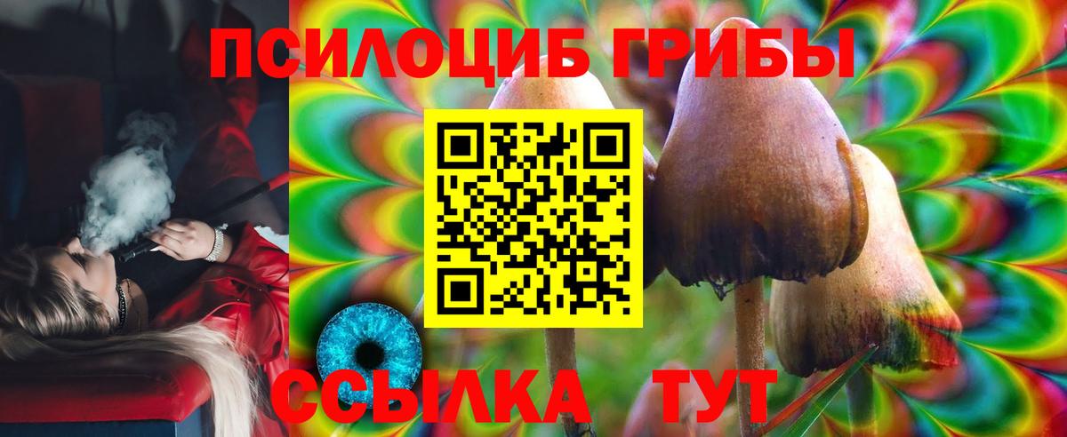 Алапаевск  наркошоп  Вход с VPN  Галлюциногенные грибы прущие грибы 